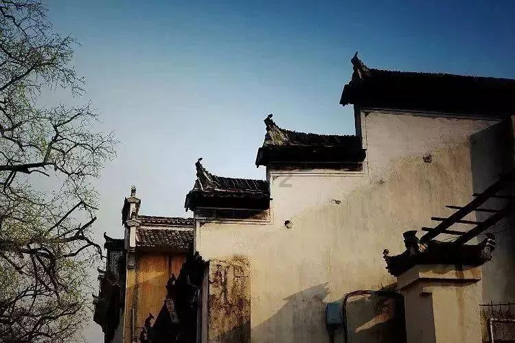 燃烧吧大脑装瓶子游戏